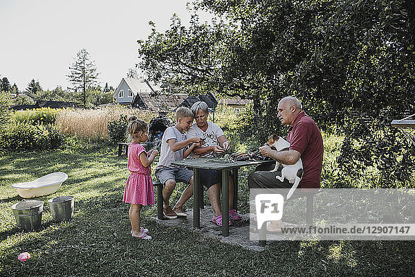 Grandparents spending time together with grandson and granddaughter in the garden