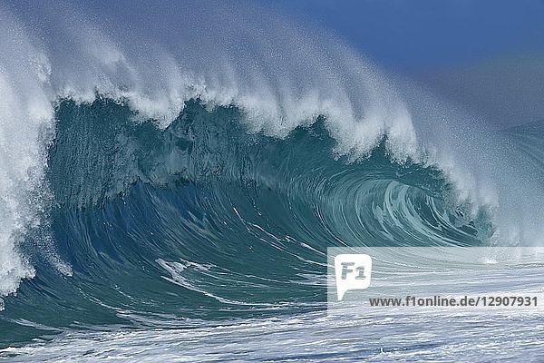USA  Hawaii  Oahu  Pacific Ocean  Big dramatic wave
