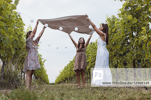 Friends spreading picnic blanket in decorated vineyard
