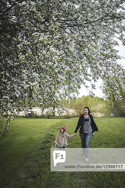 Finland  Kuopio  mother walking with daughter on a rural meadow
