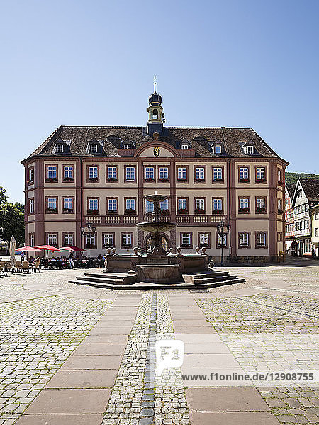 Germany  Rhineland-Palatinate  Neustadt an der Weinstrasse  Market square  town hall