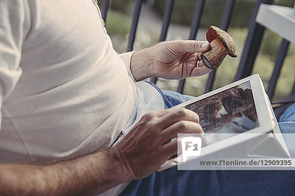 Man using tablet for researching informations about collected mushrooms  partial view