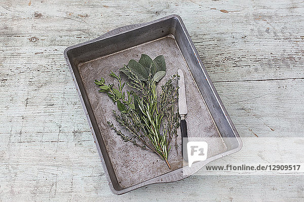 Roasting tray with fresh Provencal herbs and knife on wood