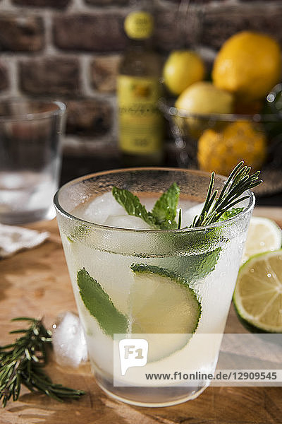 Glass of Gin Tonic with lime  mint  rosmary and ice