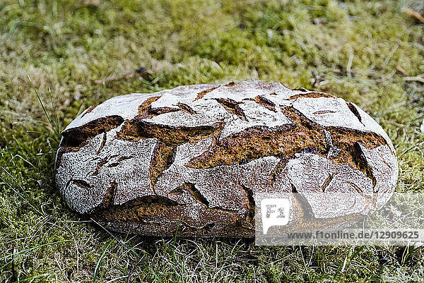 Loaf of brown bread on grass