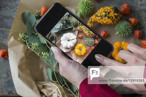 Autumnal decoration  ornamental pumpkins  woman taking photo with smartphone