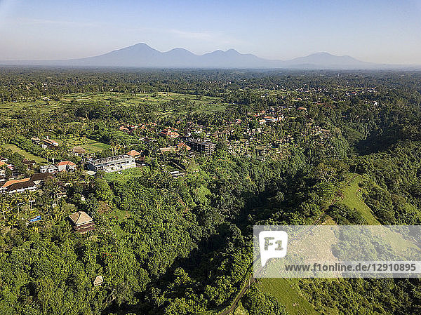 Indonesia  Bali  Ubud  Aerial view of path
