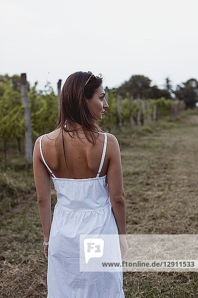 Woman wearing white summer dress  walking in vineyard  rear view