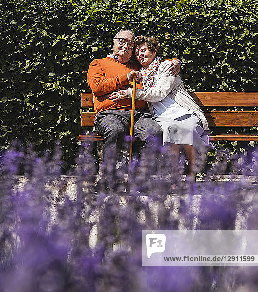 Senior couple sitting on bench in a park  with arms around