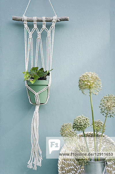 Do it yourself  Makramee attachment  ivy  braided tray  leek blossom