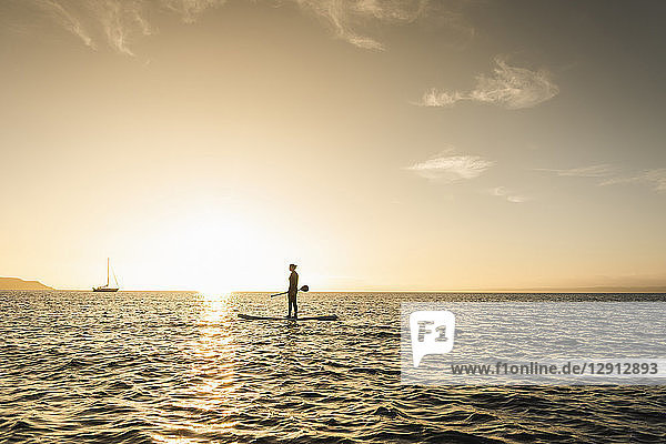 Young woman stand up paddle surfing at sunset