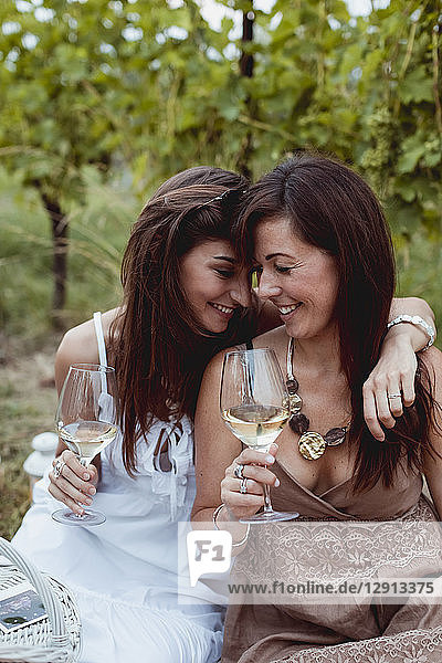 Friends at summer picnic in a vineyard  drinking wine