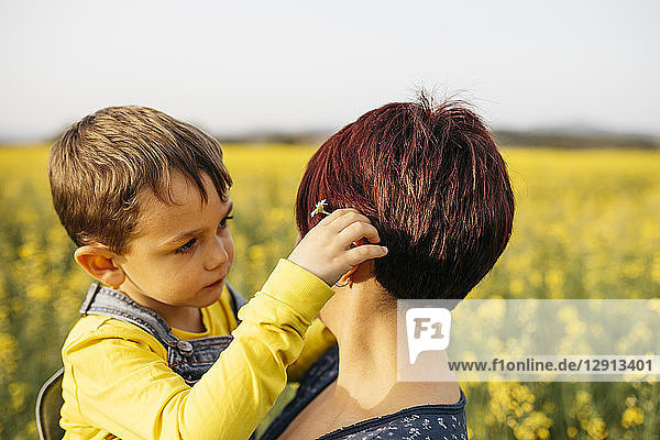 Little boy and his mother in a rape field
