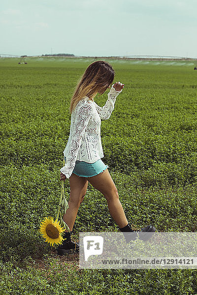 Young woman walking holding a sunflower in a green field