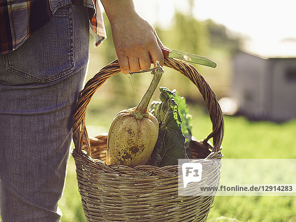 Woman carrying basket of harvested vegetables  partial view