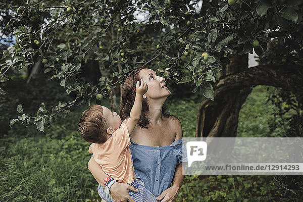 Mother holding baby in garden looking at apple tree