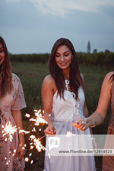 Friends having a picnic in a vinyard  burning sparklers