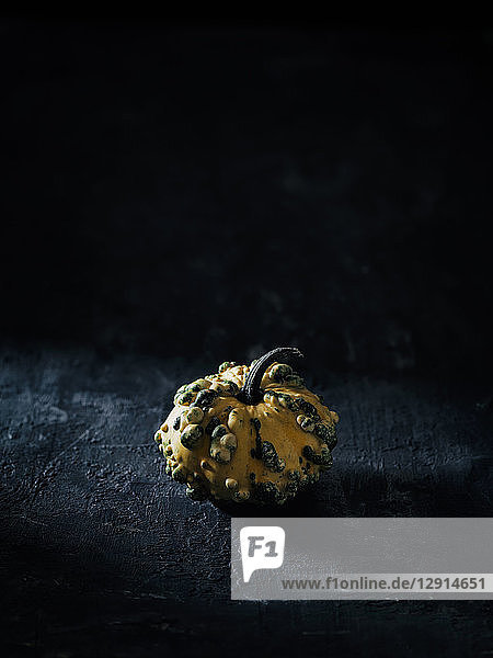Tiny decorative gourd in front of dark background