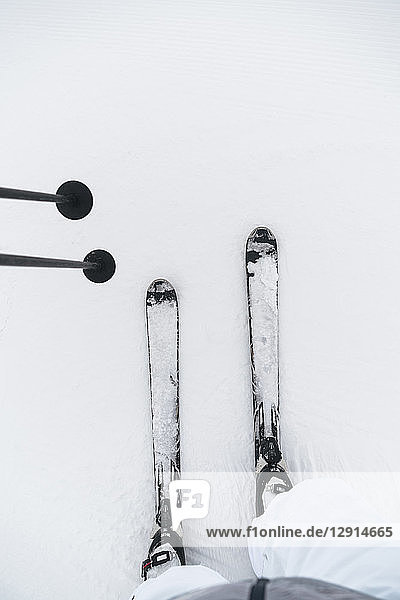 Point of view shot of man on skis in snow