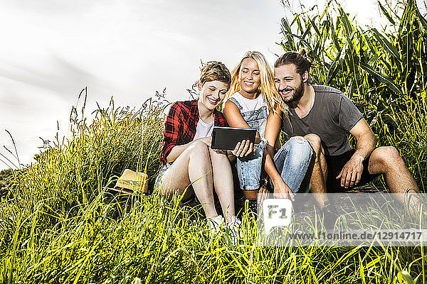 Friends sharing tablet at a cornfield