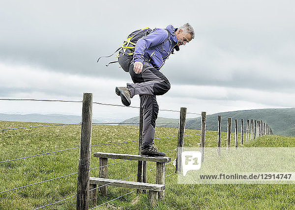 UK  Lake District  Longsleddale valley  mature man with backpack crossing pasture fence