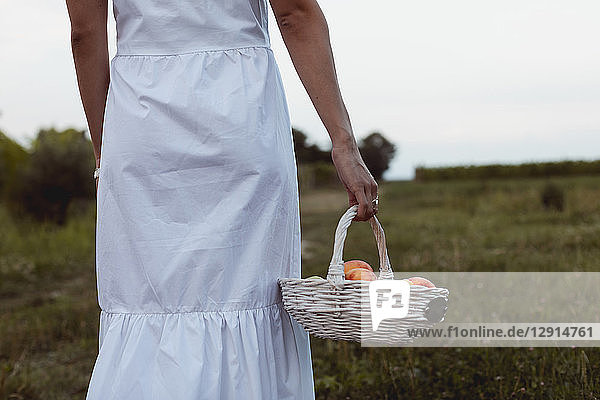 Woman walking to vineyard carrying picnic basket