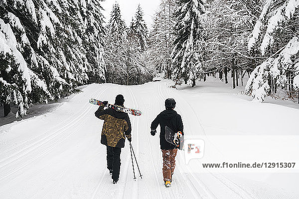 Italy,  Modena,  Cimone,  rear view of couple with skiers and snowboard walking in winter forest