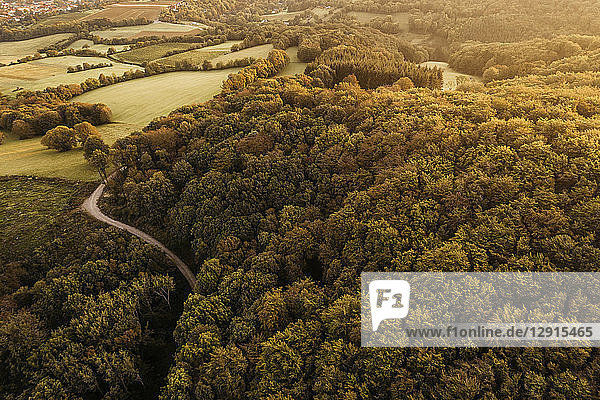 Austria  Lower Austria  Vienna Woods  Biosphere Reserve Vienna Woods  Aerial view of forest in the early morning
