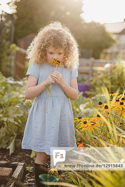 Little girl smelling flowers in the garden