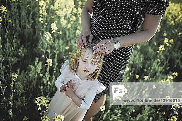 Portrait of little girl standing with her mother in rape field