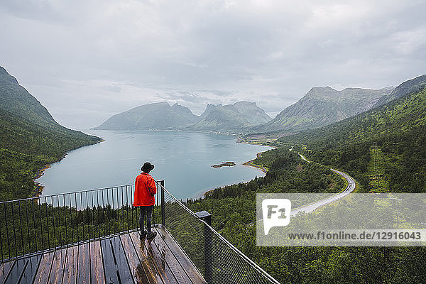 Norway  Senja island  rear view of man standing on an observation deck at the coast