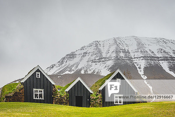 Iceland  Holar  peat houses