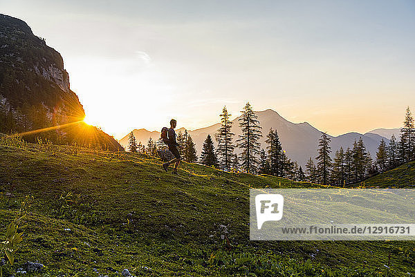 Austria  Tyrol  Hiker with backpack hiking in meadow at sunset