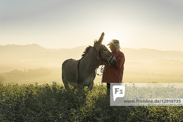 Italy  Tuscany  Borgo San Lorenzo  senior man standing with donkey in field at sunrise above rural landscape