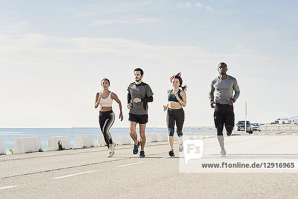 Group of sportspeople jogging at harbour