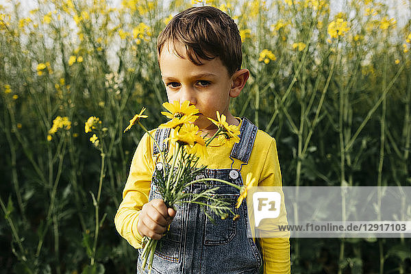 Portrait of little boy smelling picked flowers in nature