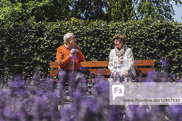 Senior couple sitting on bench in a park  talking