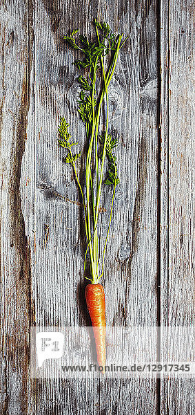 Carrot on a rustic wooden ground