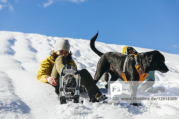 Dog waiting for owners sitting on snow and putting on snowshoes  Whistler  British Columbia  Canada