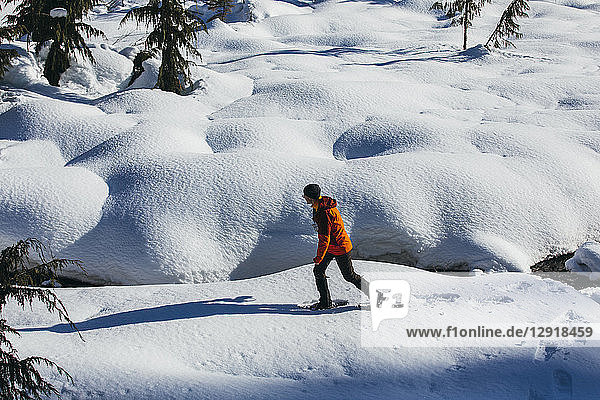 Mann beim Schneeschuhwandern über verschneites Gelände  Whistler  British Columbia  Kanada