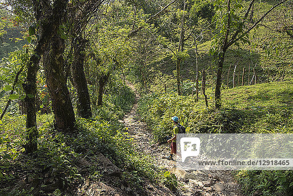 One man hikes on a trail at the area of Los Limones in Xicotepec de Juarez  Puebla  Mexico.