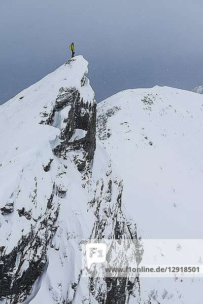 Fernaufnahme einer einzelnen Wanderin auf einem Grat im Winter beim Aufstieg zum Matmora-Gipfel  Austvagoy  Lofoten  Norwegen