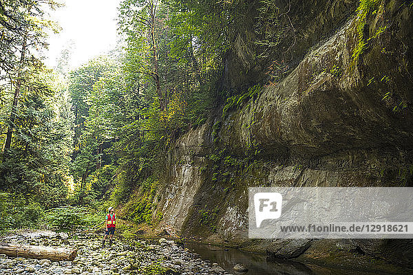 Distant view of single male geotechnician inspecting eroding cliff bank  Maple Ridge  British Columbia  Canada