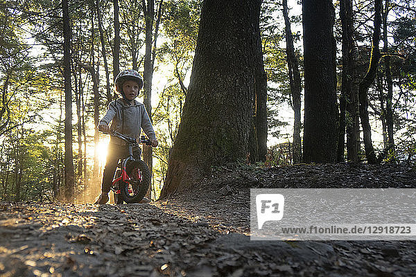 Front view of toddler riding bicycle in forest  El Chico National Park  Hidalgo  Mexico