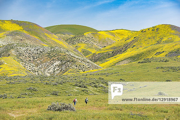 Distant view of people hiking atÂ CarrizoÂ Plain National Monument  California  USA