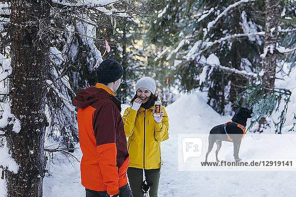 Couple with dog in forest in winter with woman showing smartphone  Whistler  British Columbia  Canada