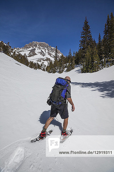 Mountaineer on approach to Donaldson Peak in the Lost River Mountain Range  Idaho  USA