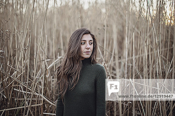 Young woman with scarf in front of long grass in fall  Portland  Maine  USA