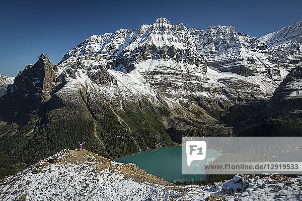 Wunderschöne Naturkulisse des O'Hara-Sees und der kanadischen Rocky Mountains  Yoho-Nationalpark  Alberta  Kanada