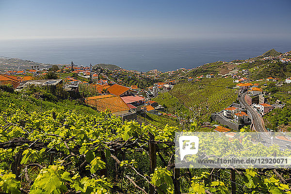 Blick auf Weinberg  Landschaft und Atlantik bei Cabo Girao  Camara de Lobos  Madeira  Portugal  Atlantik